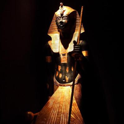 Tutankamon In Viaggio Galleria 003